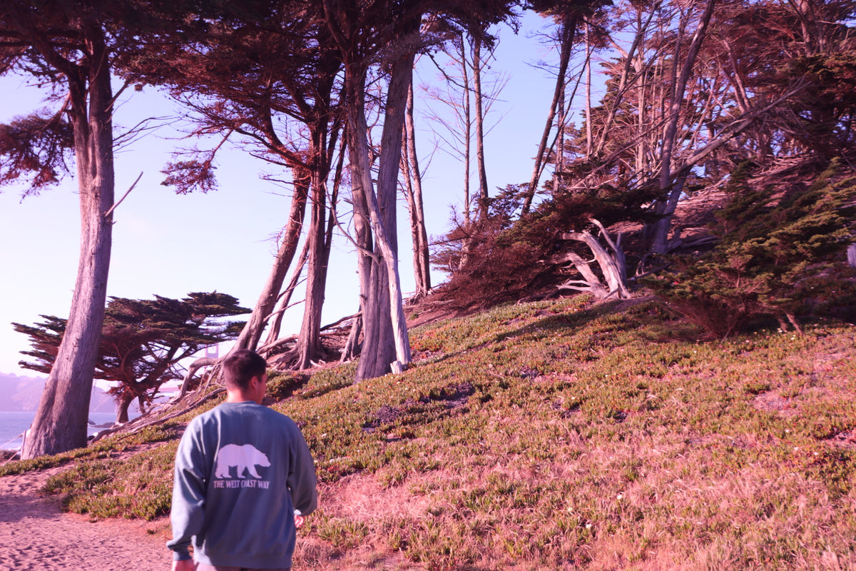 California Bear Crewneck