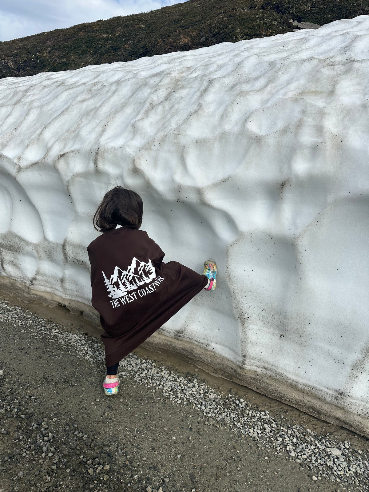 Mountain Crewneck- Brown